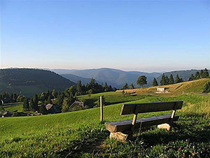 Todtnauberg Schwarzwald -  Rundweg