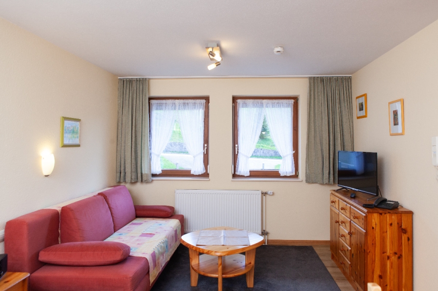 Wohnbereich, Sofa, Fernseher, Ferienwohnung, Ferienhaus, Schwarzwald, Haus Keller Ferienwohnungen