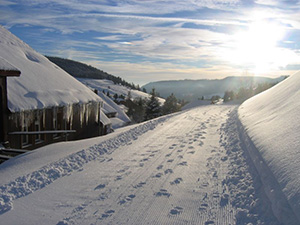 Todtnauberg Schwarzwald -  Winterulraub Ferienwohnung