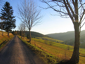 Todtnauberg Schwarzwald -  Herbststimmung 