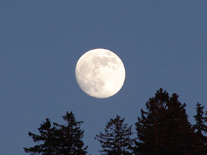 Südschwarzwald – Mond