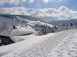 Todtnauberg Schwarzwald -  FeWo Haus Keller 