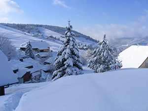Todtnauberg Schwarzwald -  Winterabend 