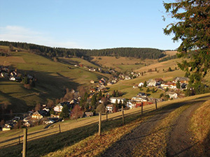 Todtnauberg Schwarzwald -  Blick auf Ortsteil Rütte 