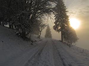 Todtnauberg Schwarzwald -  mystisch