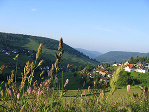 Todtnauberg Schwarzwald -  Blick ins Wiesental 