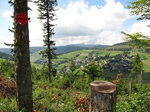 Todtnauberg Schwarzwald -  Blick vom oberen Rundweg 