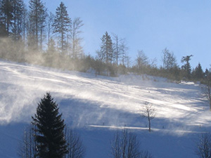 Todtnauberg Schwarzwald -  Schneesturm