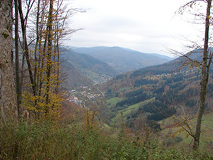 Südschwarzwald -  Blick nach Todtnau 