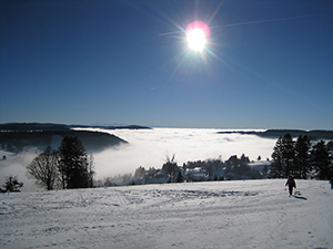 Todtnauberg Hochschwarzwald -  Nebelmeer