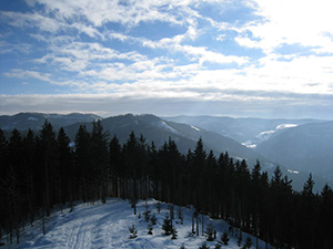 Schwarzwald Weitsicht