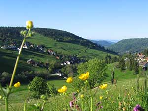 Todtnauberg Schwarzwald -  Sommerurlaub 