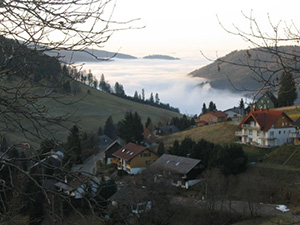 Todtnauberg Schwarzwald -  Nebel im Tal 