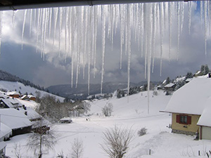 Todtnauberg Südschwarzwald -  Eiszapfen 