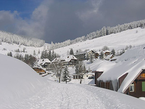 Todtnauberg  Blick zum Stübenwasen