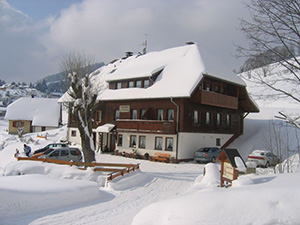 Todtnauberg Schwarzwald -  FeWo  Appartement Haus 